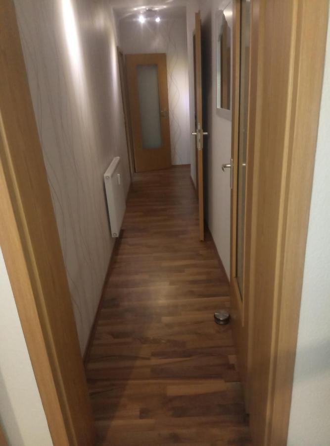 Ferienwohnung Rickyy Reichenbach im Vogtland Bagian luar foto